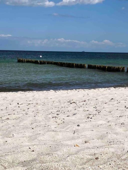 Familienurlaub Mit Hund An Der Ostsee Admannshagen-Bargeshagen Экстерьер фото