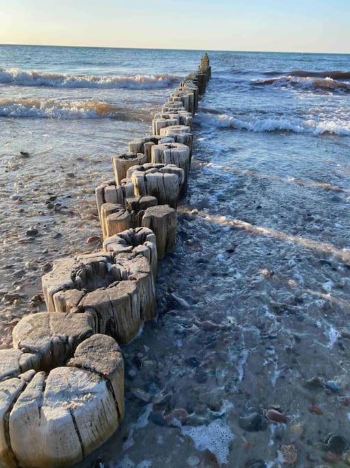 Familienurlaub Mit Hund An Der Ostsee Admannshagen-Bargeshagen Экстерьер фото